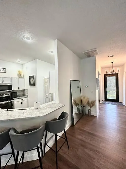 Hidden Gem In The Heart Of The City!! Tampa 0*,